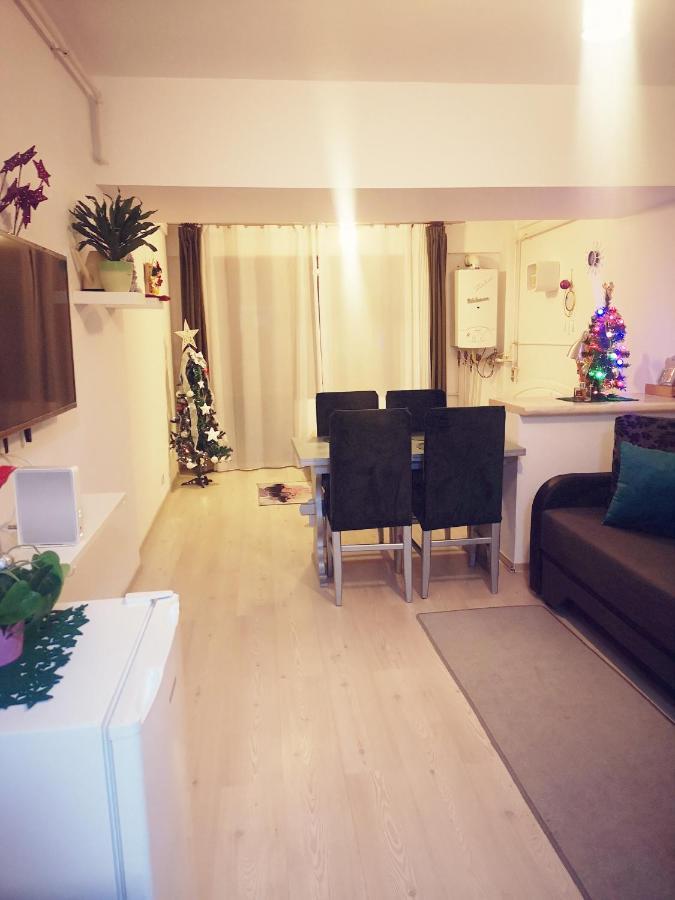 Studio Adela Poiana Brasov Exterior foto